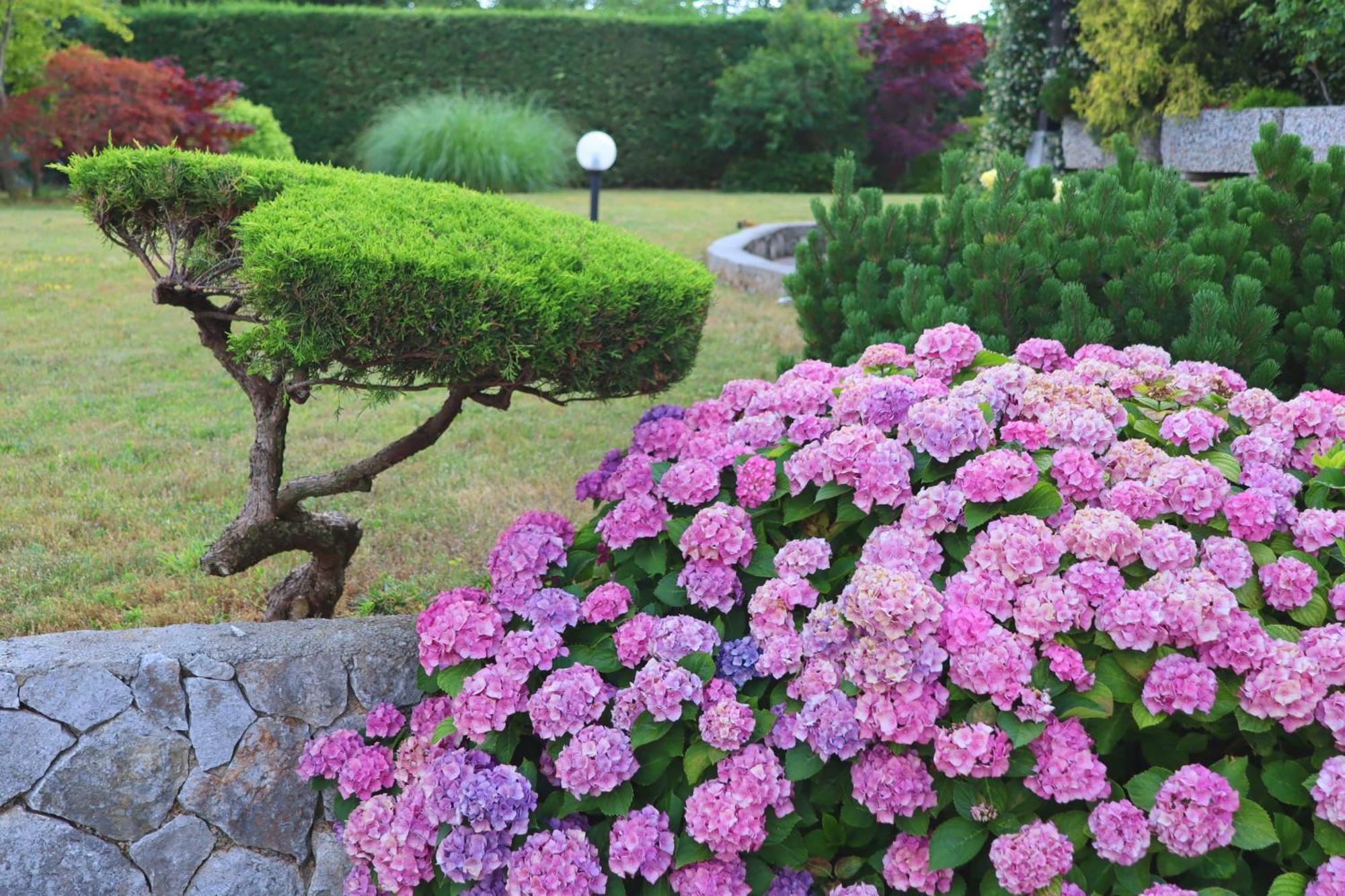 Garden Villa Štanjel Esterno foto